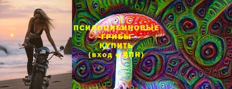 Псилоцибиновые грибы мухоморы  Киселёвск 